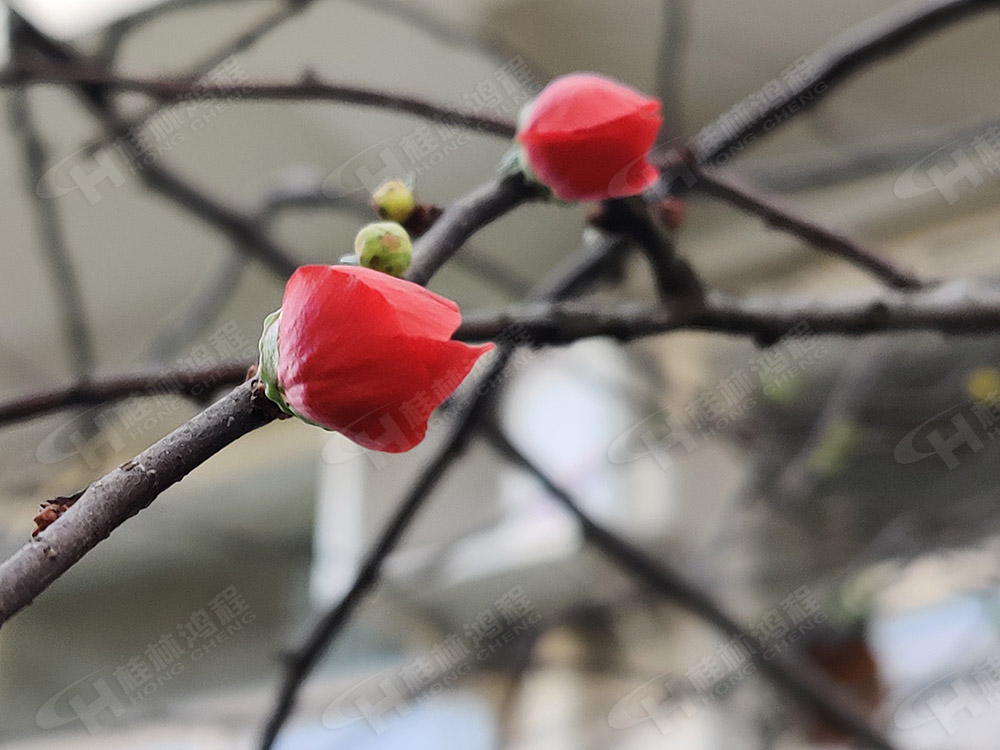 桂林鴻程花團錦簇，滿園春色，邀您一起共賞春景，共商大計！