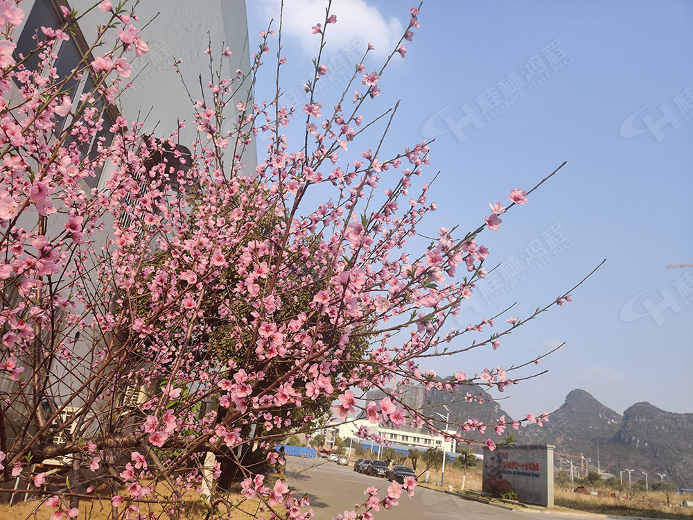 桂林鴻程花團錦簇，滿園春色，邀您一起共賞春景，共商大計！